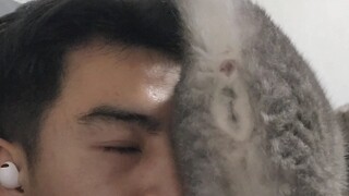 蹭脸贴贴咱明白，为啥要撅腚呀😂