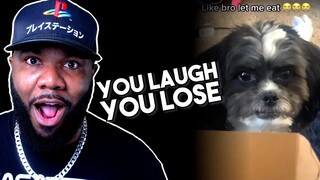 Thanksgiving in Ohio is insane - NemRaps Try Not to laugh 336