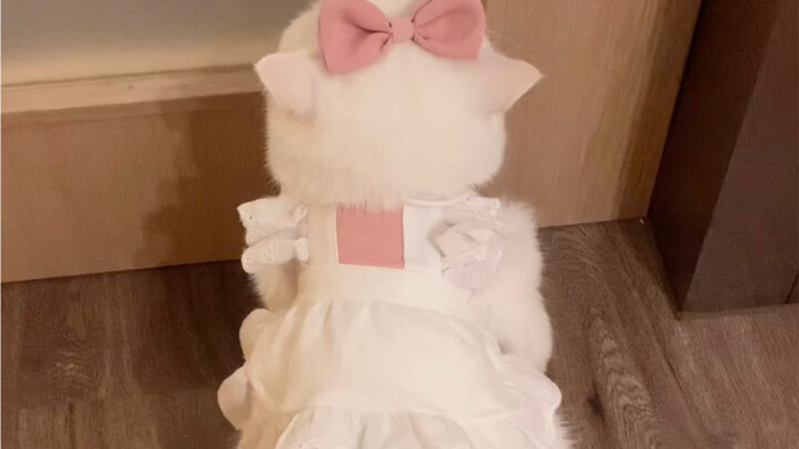 It’s *so* perfect for a princess dress!