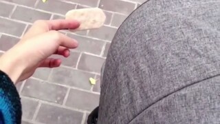 如何辨别人类幼崽装睡