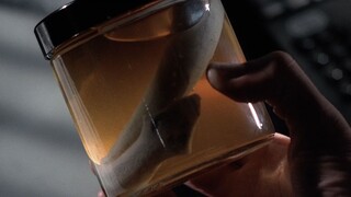 "The X-Files" Season 2 Episode 2, Mutated Leeches in the Sewers