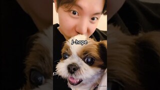 Guess the BTS members by their Dog👉🐕🐩#shorts #btsarmy #bts #kpop #runbts #guess #btsshorts