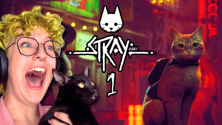 BEST GAME EVER - Stray Pt 1