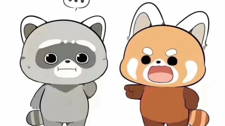 Why do so many people have trouble telling the difference between a red panda and a raccoon?