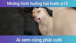 Những tình huống hài hước p15