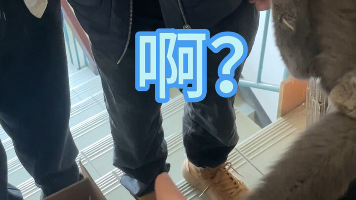 ความคืบหน้าหลังการไปดูแลแมวจรจัดถึงบ้าน