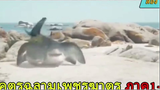 (สปอยหนัง) รวมหนังฉลามกลายพันธุ์ ภาค1-4（１／６）