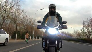 Hop on my little scooter and take Danyu for a ride! [Danyu is a cat]