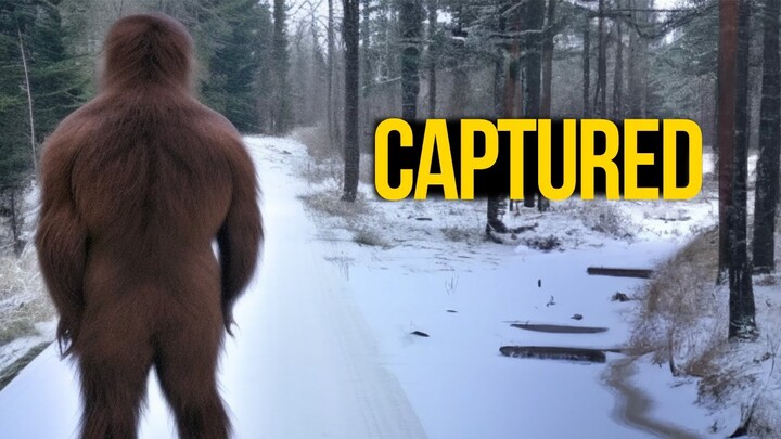 Top Disturbing Moments Captured on Trail Cam