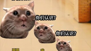 《จินเซียงซิ่วหลัว》3