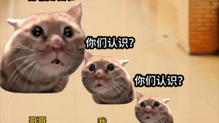 《زن شيانغ شيو لوه》3