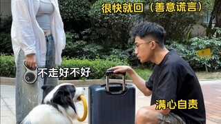 养狗人骗狗VS养猫人骗猫的不同心情