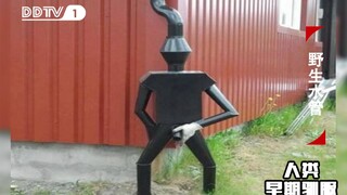 人类早期驯服野生水管的珍贵影像