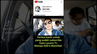 Alhamdulillah Subscribe Channel Cats Lovers Tv Naik Terus Terima Kasih..!