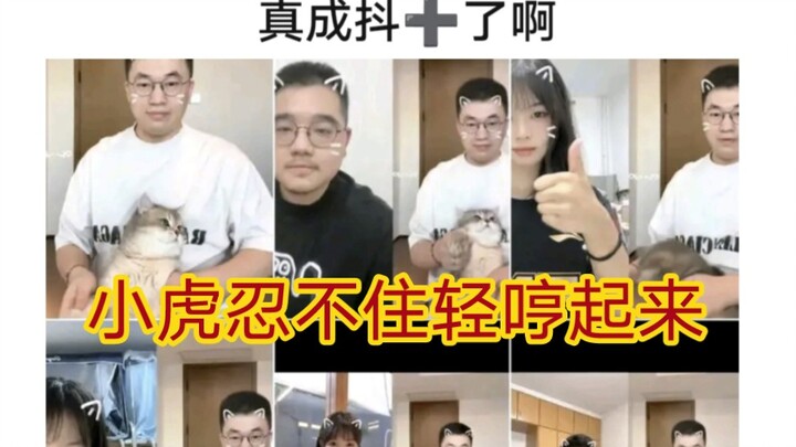 The hot discussion on Tieba is that the little tiger cat shake is popular on Douyin, and beautiful w