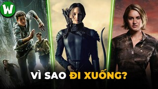 Sự Lụi Tàn Của Dòng Phim Phản Địa Đàng Tuổi Teen | The Hunger Games, Divergent, The Maze Runner