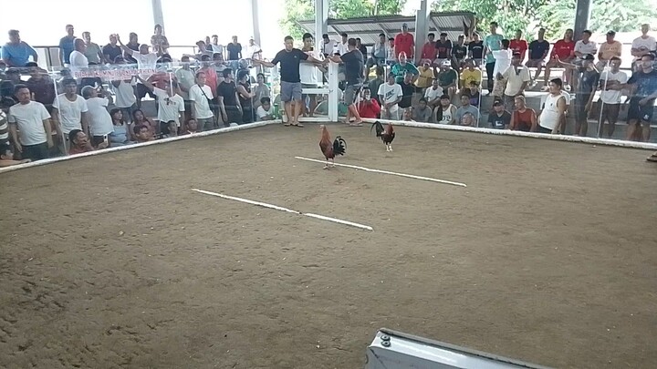 AEC-1wine red vs pulang banderahan