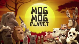 MOGMOG PLANET (Real Ver.) Official PV ① | It's Anime #animals