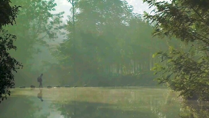 Ada jenis rasa sakit hati yang disebut “tinggal di kampung”, dan ada jenis harapan yang disebut “ker