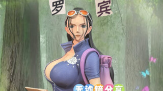 霸权社-罗宾