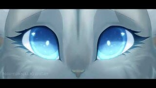 I’m not calling you a liar - Feathertail and Stormfur PMV