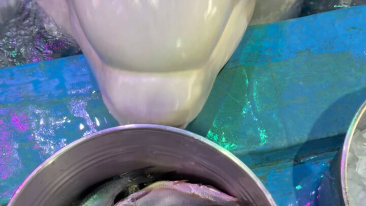 They're both so clever; you can't fool them at all.