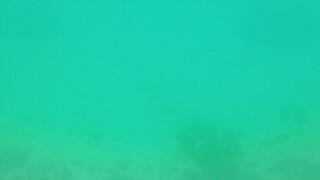 una araw sa beach 🏖️ part 1