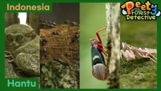 Misteri Hantu Menakutkan - Peet The Forest Detective 3 (Bahasa Indonesia)