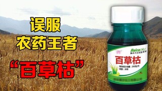 How toxic is paraquat? Why can’t you be saved even after just one sip? By the time you regret it, it