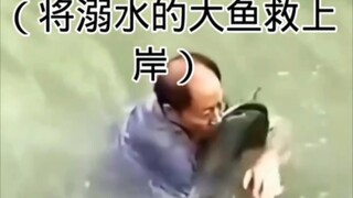 The old man successfully rescued a fish that was about to drown!