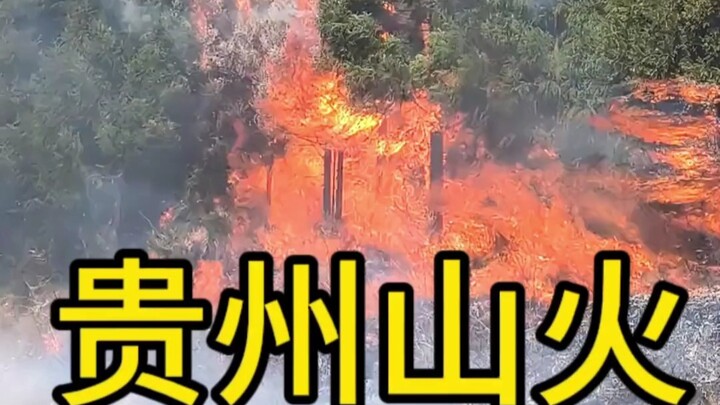 Cháy rừng ở Quý Châu