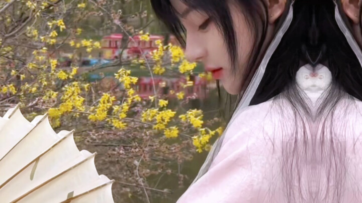 Hoa lê sao thơm bằng meo meo!