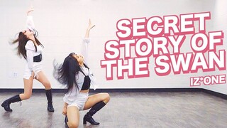 【MTY舞蹈室Eunbi+Yurim】IZ*ONE - Secret Story of the Swan【镜面翻跳】