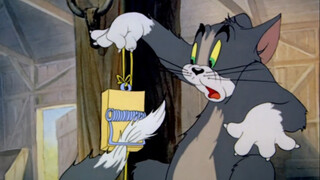 Who could say no to an episode featuring fluffy cats?