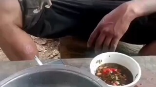 Makanan Berkualitas Tinggi untuk Manusia