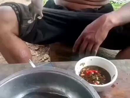 อาหารคุณภาพสูงของมนุษย์