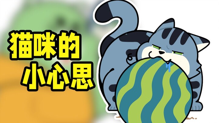 小猫咪能有什么坏心思呢