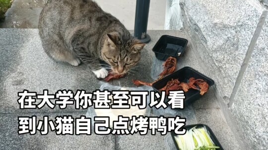 “Không biết nữa, nó rơi xuống đất rồi, tôi cứ nghĩ là chẳng ai lấy đâu”
