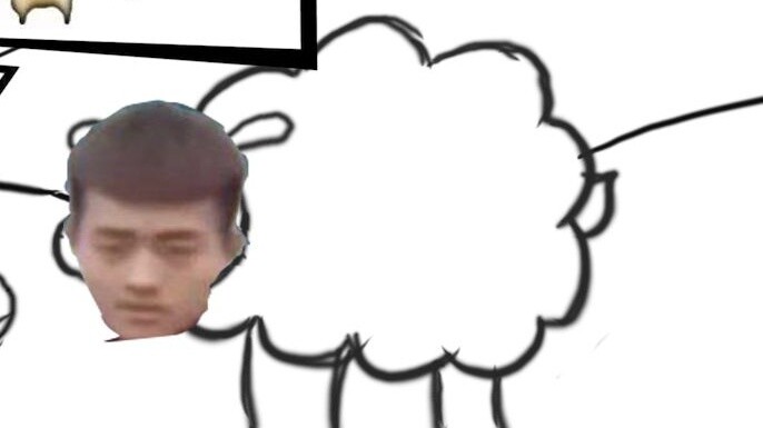 Có một con cừu tên là "Wangling Sheep"