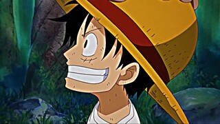 OREWA MONKEY D Luffy kayzoko ini naru oto kota 🗿☠️