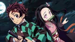 Demon Slayer Brother And Sister Bond (2019)