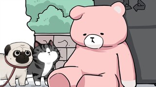 "Bạn có bị gia đình bỏ rơi không?" [My Royal Cat]