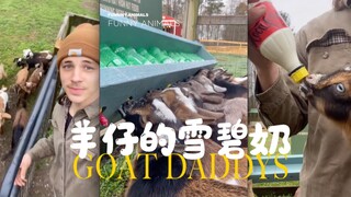 يا صغار، حليب السبرايت الخاص بكم أصبح جاهزًا!