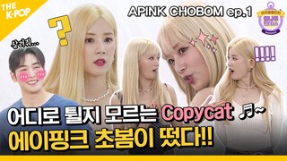 (ENG sub / APINK CHOBOM ep-1) 멋대로 굴게 놔둬! 어디로 튈지 모르는 Copycat ♬~ CHOBOM Challenge