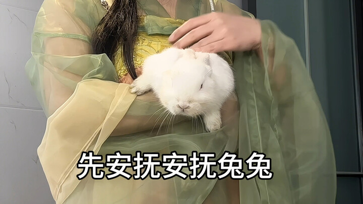 Kelinci lucu banget—gimana mungkin meja makan Tahun Baru Imlek lengkap tanpa kelinci?