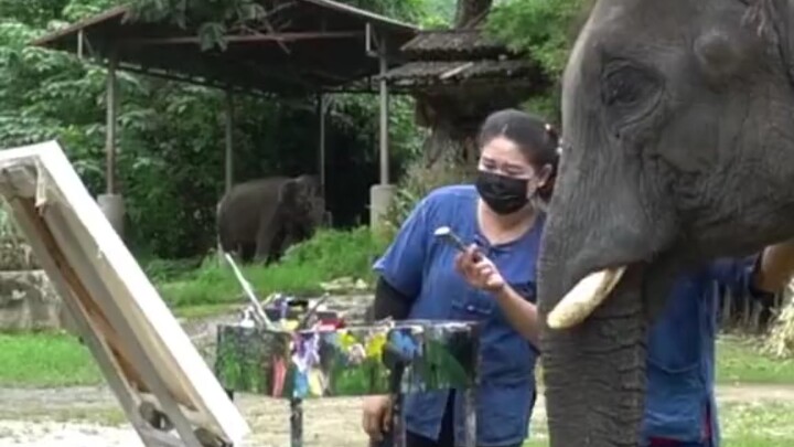 Seekor gajah kecil yang gemar menggambar.