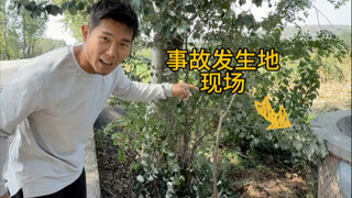 今天再次给媳妇展示什么叫跑酷