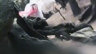 perjalanan baru dimulai