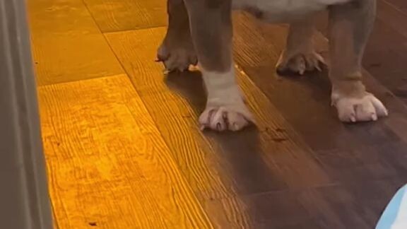 your can 't understand what you saying