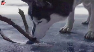 Ini sangat panas, sepertinya aku ingin menjadi anjing
